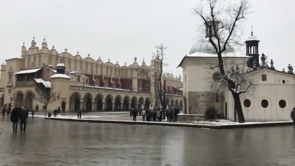 Cracovia, Polonia, Un grupo de personas de pie frente a un castillo — Vídeos de Stock