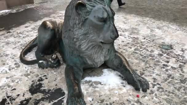 Gdańsk, Polska, Leżące na ziemi zwierzę — Wideo stockowe