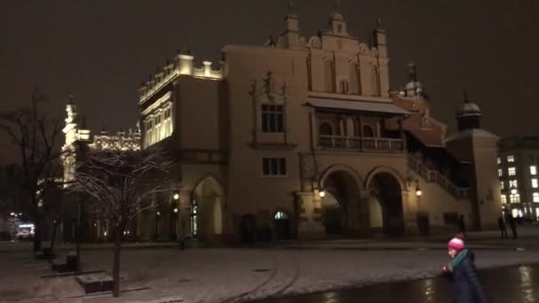 Krakow, Polen, 20 februari 2017: En person som står framför en byggnad — Stockvideo