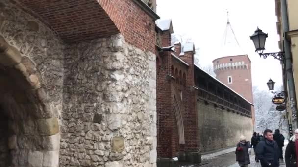 Krakau, Polen, 20 februari 2017: Een persoon die voor een bakstenen gebouw staat — Stockvideo