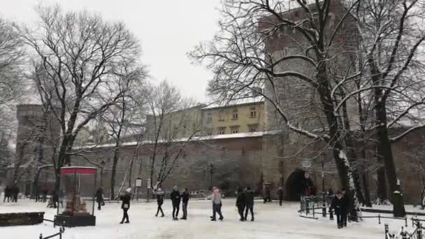 Краков, Польша, 20 февраля 2017: Группа людей, идущих по снегу — стоковое видео