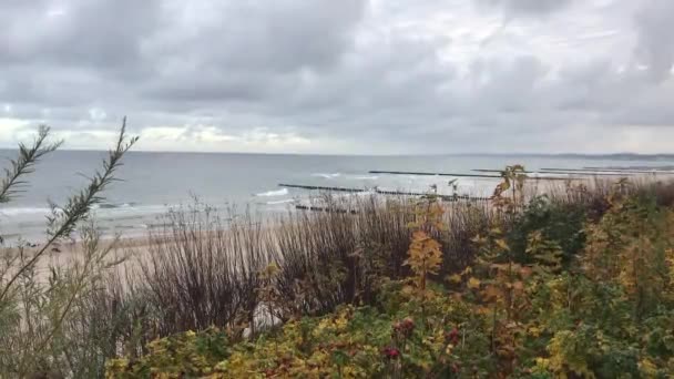 Ustka, Polônia, Um campo de grama com árvores no fundo — Vídeo de Stock