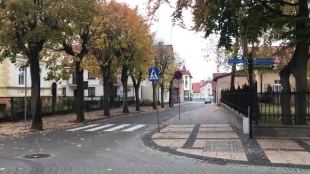 Устка, Польша, Улица, выложенная деревьями — стоковое видео