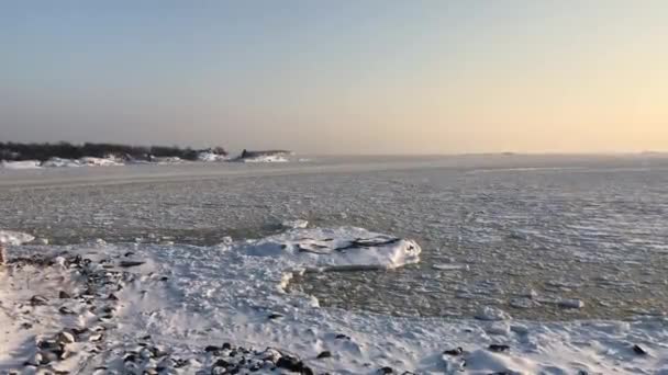 Ελσίνκι, Φινλανδία, Ένα σμήνος από γλάρους που στέκονται σε μια βραχώδη παραλία — Αρχείο Βίντεο