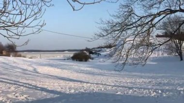 Helsinki, Finlandiya, Karla kaplı bir ağaç