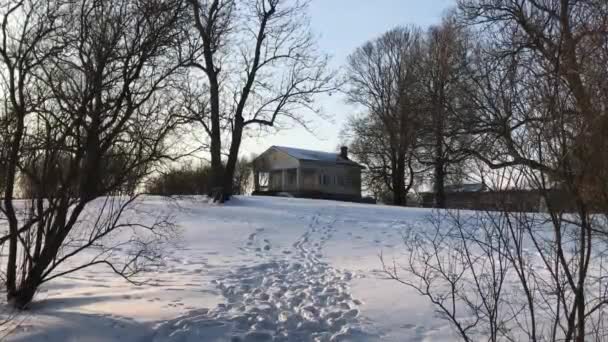 Helsinki, Finlandia, Drzewo pokryte śniegiem — Wideo stockowe