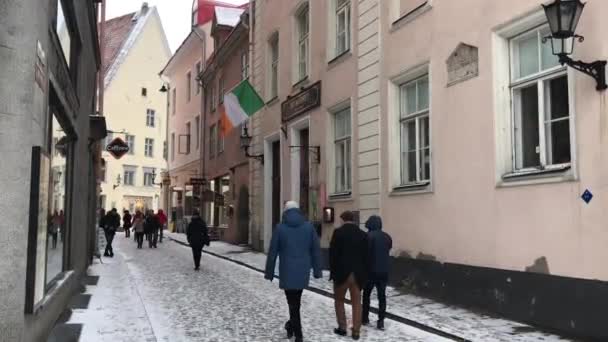 Tallinn, Estonya, 18 Şubat 2017: Bir şehir caddesinde yürüyen bir grup insan — Stok video