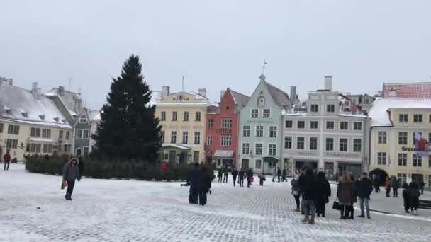 Tallinn, Estonsko, 18. února 2017: Skupina lidí chodících ve sněhu — Stock video