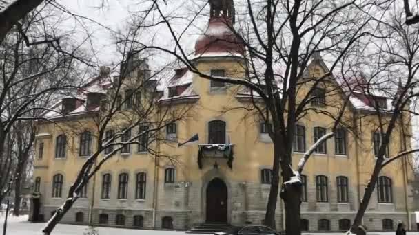 Tallinn, Estonya, Bir binanın önündeki heykel — Stok video