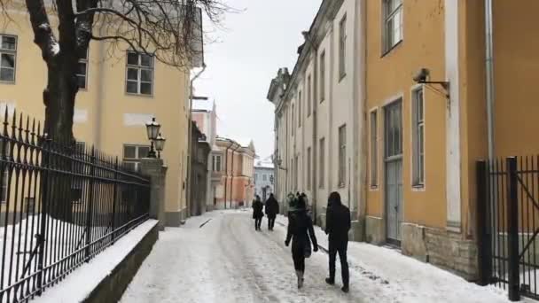 Tallin, Estonia, Gente caminando por una calle de la ciudad — Vídeo de stock