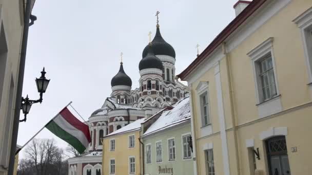 Tallinn, Estland, Een groep mensen voor een gebouw — Stockvideo