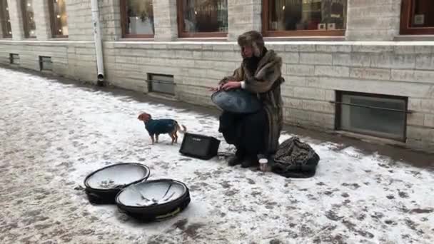 Tallinn, Estonsko, 18. února 2017: Pes sedící na střeše budovy — Stock video