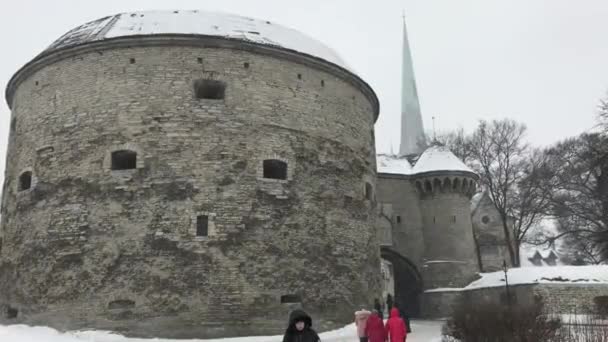 Таллінн, Естонія, замок у снігу — стокове відео