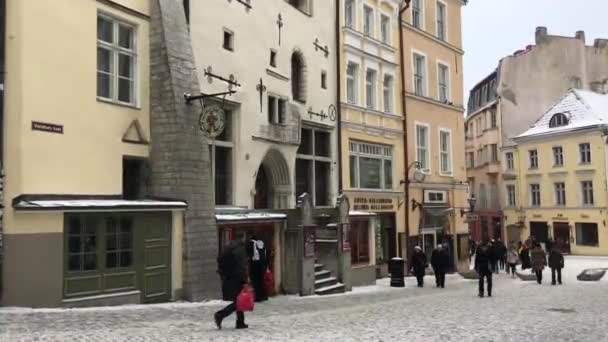 Tallin, Estonia, Un grupo de personas caminando frente a un edificio — Vídeo de stock