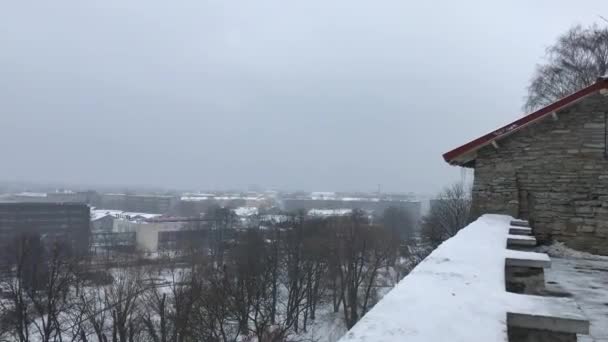 Таллінн (Естонія) Будинок, вкритий снігом. — стокове відео