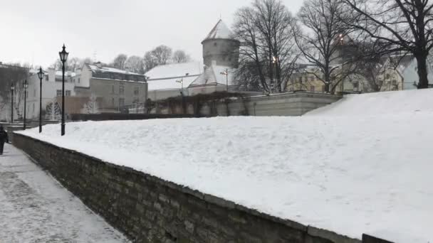 Tallin, Estonia, Pociąg pokryty śniegiem — Wideo stockowe