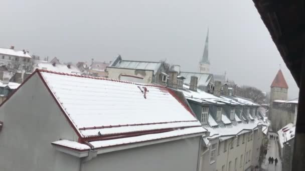 Tallinn, Estonsko, střecha budovy — Stock video