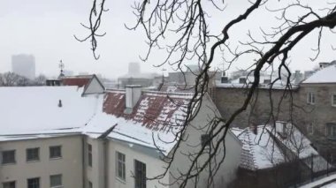 Tallinn, Estonya, Ağacın yanındaki bir bina