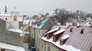 Tallinn, Estonya, Arkasında ağaçlar olan bir ev
