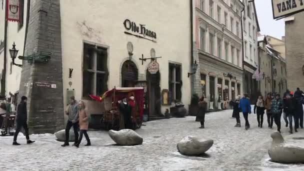 Tallin, Estonia, 18 de febrero de 2017: Un grupo de personas caminando frente a un edificio — Vídeo de stock