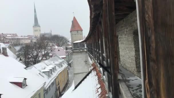 에스토니아 탈린, 눈으로 뒤덮인 열차 — 비디오