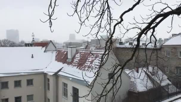Tallin, Estonia, Budynek obok drzewa — Wideo stockowe