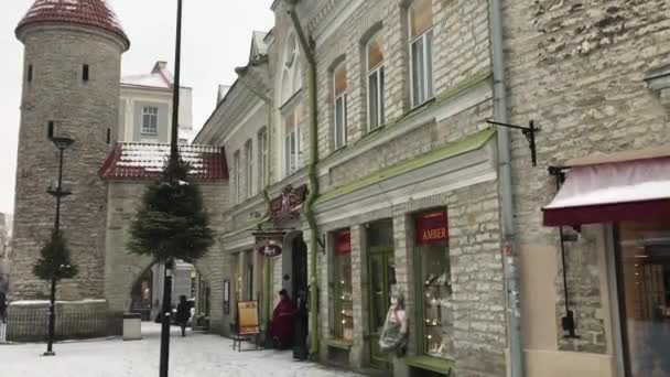 Tallinn, Estonya, bir grup insan bir binanın önünde. — Stok video