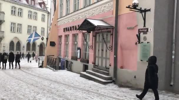 Tallin, Estonia, Un grupo de personas caminando frente a un edificio — Vídeo de stock
