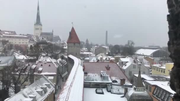 Tallinn, Estonsko, Velká budova — Stock video