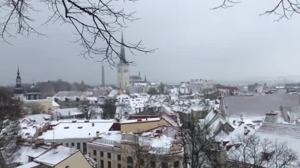 Ταλίν, Εσθονία, Ένα σπίτι καλυμμένο με χιόνι — Αρχείο Βίντεο