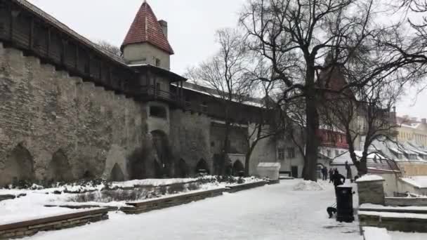 エストニアのタリン雪に覆われた家 — ストック動画