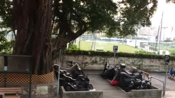 Hongkong, China, Eine Gruppe von Menschen sitzt in einem Baum — Stockvideo