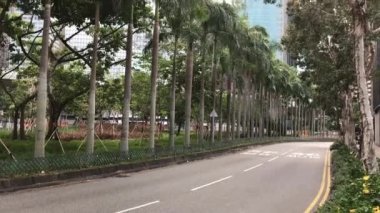 Hong Kong, Çin, Yol kenarında bir ağaç