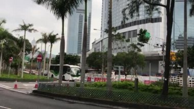 Hong Kong, Çin, Şehir caddesinde bir palmiye ağacı