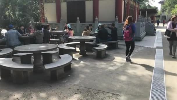 Χονγκ Κονγκ, Κίνα, 20 Νοεμβρίου 2016: Μια ομάδα ανθρώπων που κάθονται σε ένα τραπέζι — Αρχείο Βίντεο