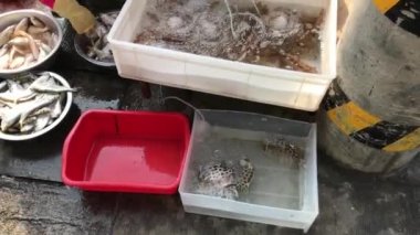 Hong Kong, Çin, içinde yiyecek olan bir konteynır.