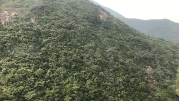 香港中国背景に山のある木 — ストック動画