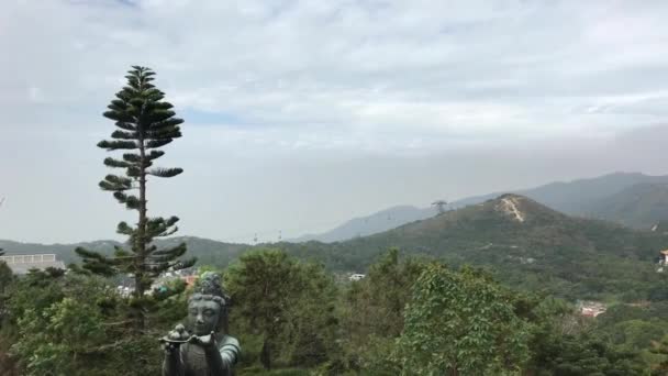 Hong Kong, Chine, Un arbre avec une montagne en arrière-plan — Video