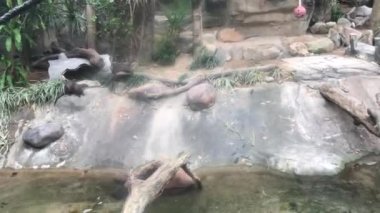 Hong Kong, Çin, büyük bir su havuzu.