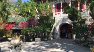 Hong Kong, Çin, 20 Kasım 2016: Bir çiçek bahçesine yakın plan