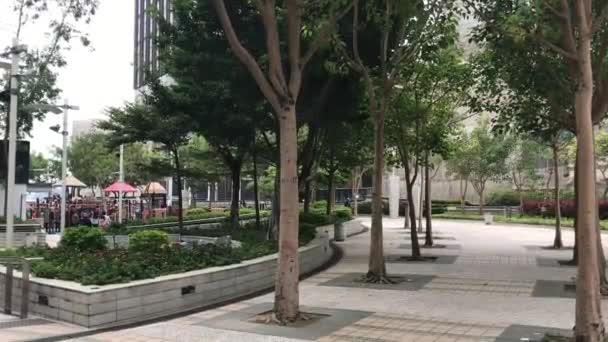 Hongkong, Kina, ett träd i hörnet av en gata — Stockvideo
