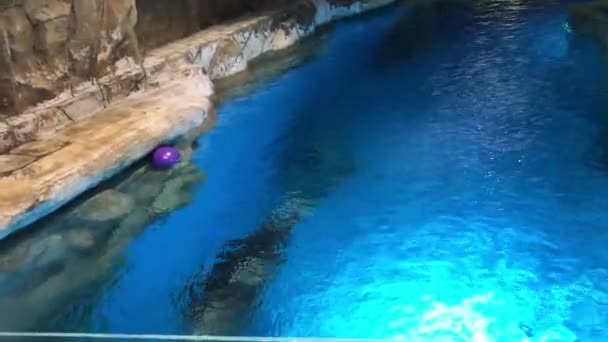 Hong Kong, China, Un azul y nadar en una piscina de agua Clip De Vídeo