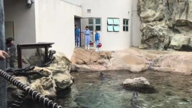 Hong Kong, China, November 20 2016: A person standing next to a rock wall