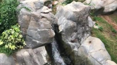 Hong Kong, Çin, Büyük bir kayaya yakın çekim