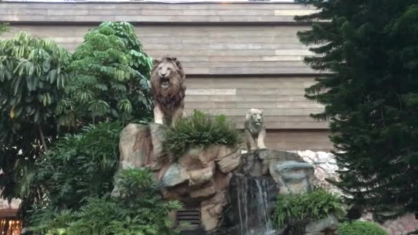 Hong Kong, Kína, egy medve szobra ül egy fa előtt. — Stock videók