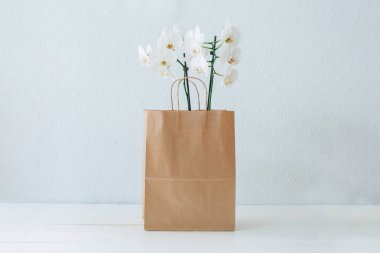 Orkide bir kağıt torba. Beyaz orkide. Kağıt torba. Beyaz masa. Beyaz duvar kağıtları. Bir kağıt torba çiçeklenir.