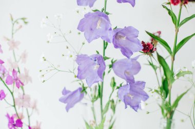 Kır çiçekleri yaz buket. Mor çan.