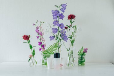 Doğal bitkisel kozmetik. Cilt için kremler. Alan çok renkli yaz çiçek.