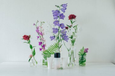 Doğal bitkisel kozmetik. Cilt için kremler. Alan çok renkli yaz çiçek.