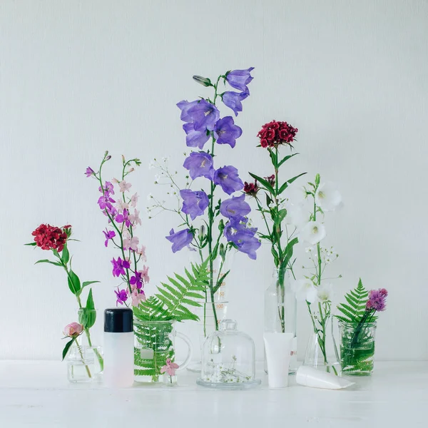 Cosmétiques Naturels Base Plantes Crèmes Pour Peau Champ Multicolore Fleurs — Photo